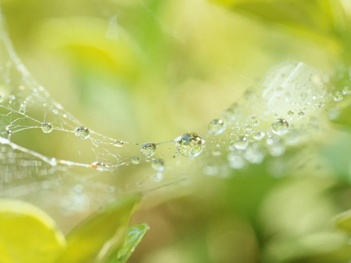 Systemisches Coaching coaching-plus