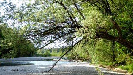 Achtsamkeits-Wanderung coaching-plus