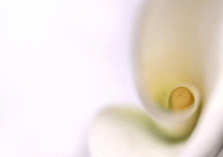 Einzel-Aufstellungen coaching-plus