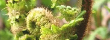 Persönlichkeitsentfaltung coaching-plus