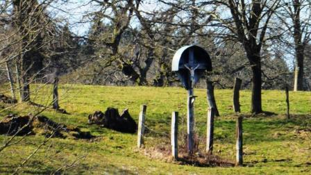 Jakobsweg coaching-plus