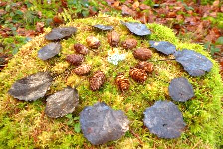 LandArt coaching-plus