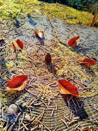 Mandalas coaching-plus