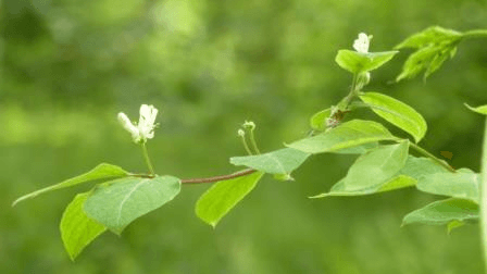 Meditation & Stille coaching-plus