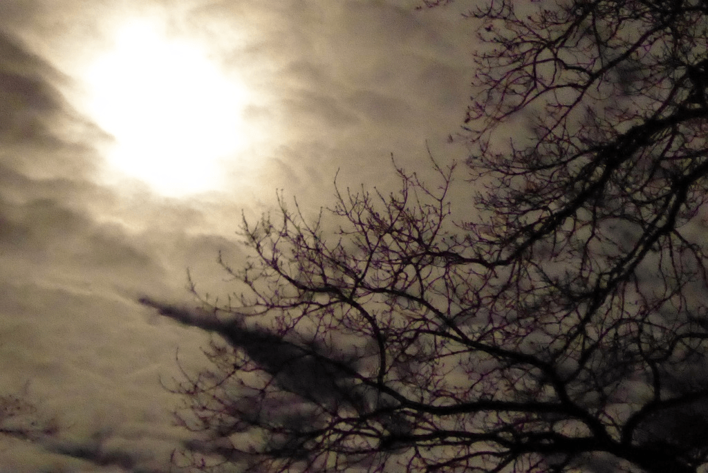 Mond-Wanderungen coaching-plus