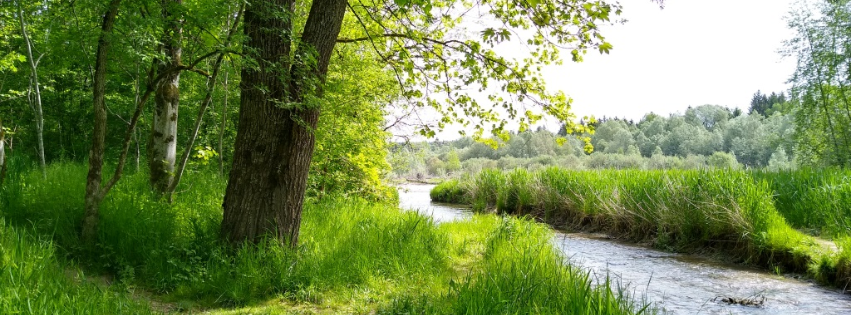 Natur-Coaching coaching-plus