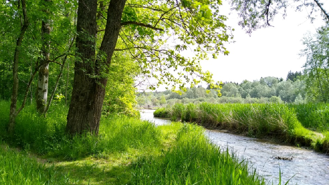 Natur-Coaching coaching-plus