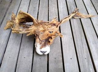 Natur & Kreativität coaching-plus