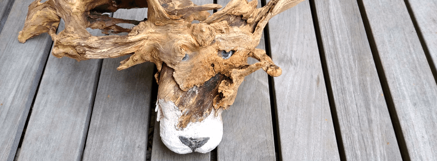 (Wurzel-)Skulpturen coaching-plus