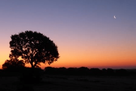 Neumond-Wanderung coaching-plus