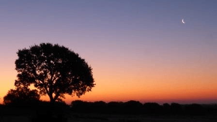 Neumond-Wanderung coaching-plus