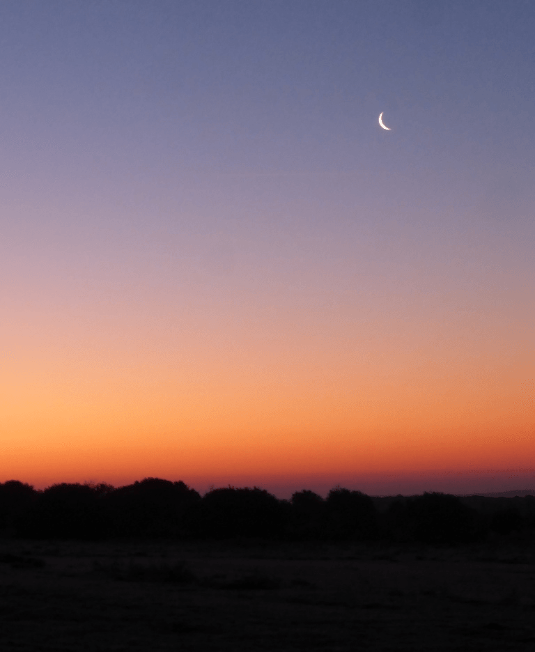 Neumond-Wanderung coaching-plus