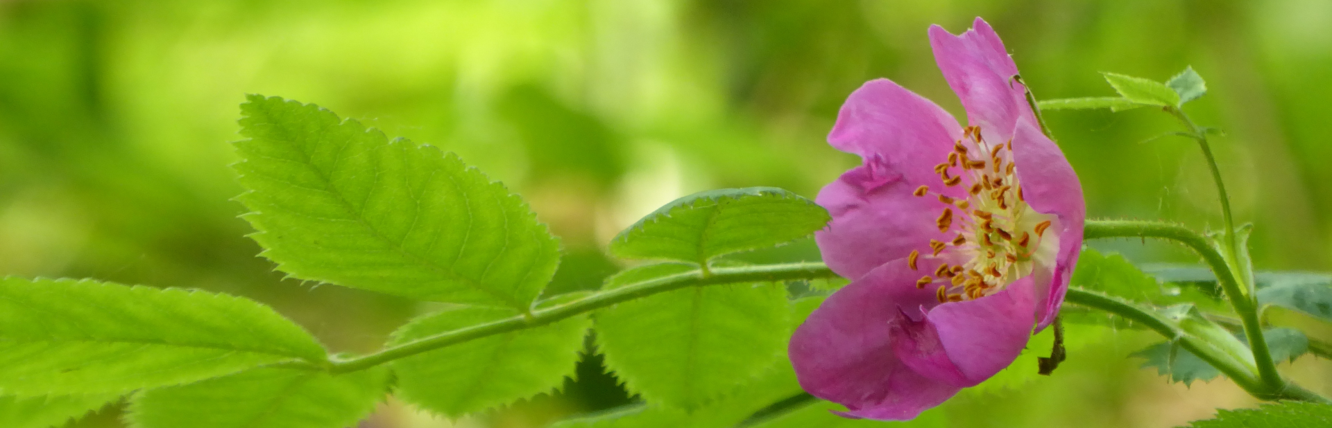 Preise coaching-plus