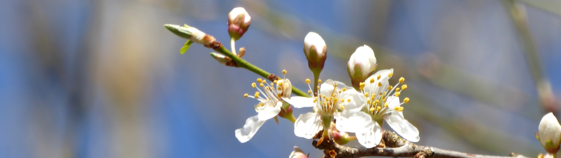 Referenzen coaching-plus