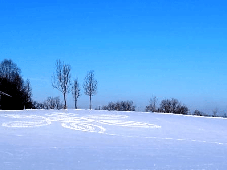 SnowArt coaching-plus