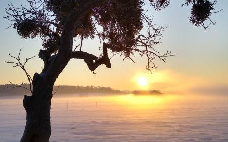 Sonnen-Wanderungen coaching-plus