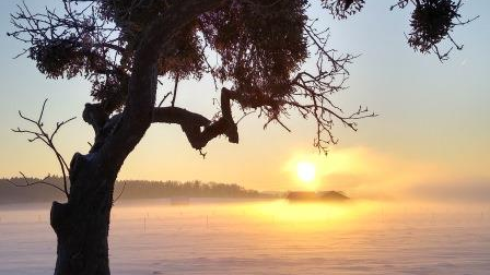 Sonnenaufgangs-Wanderung coaching-plus