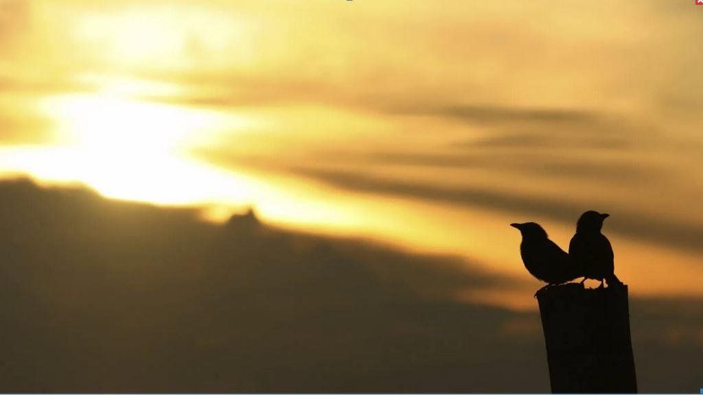 Tag-Nachtgleiche-Wanderung coaching-plus