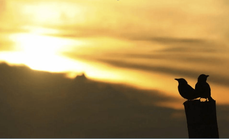 Tag-Nachtgleiche-Wanderung coaching-plus