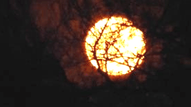 Vollmond-Wanderung coaching-plus