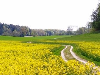 Achtsamkeits-Wanderungen coaching-plus