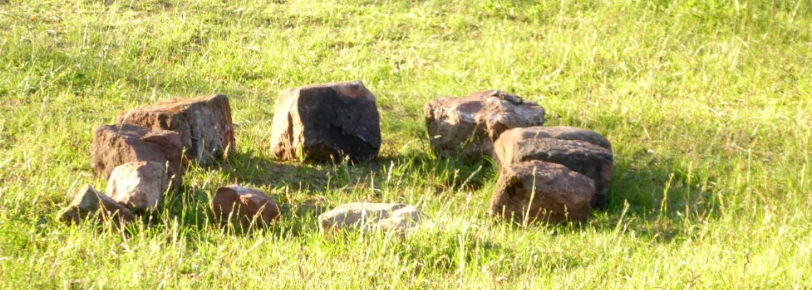 Systemische Aufstellungen coaching-plus