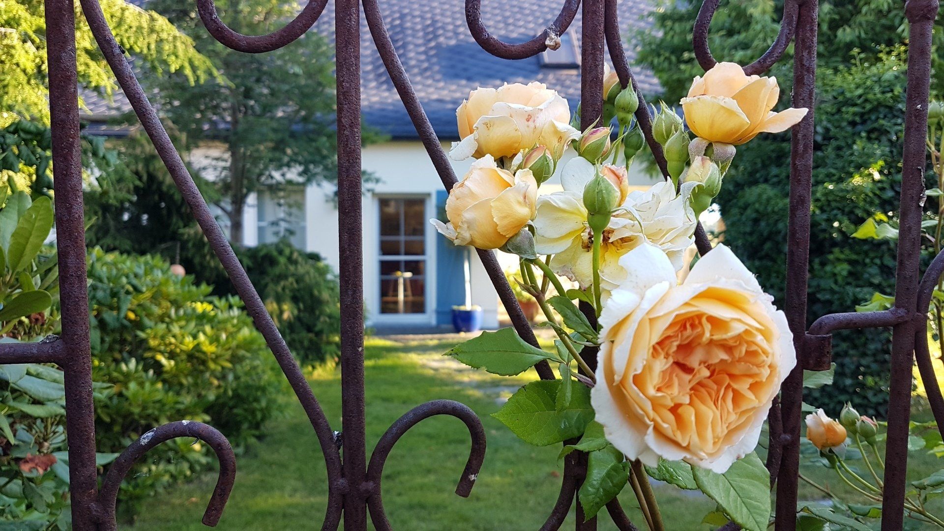 Ferienhaus Hummel-Nest Rosen