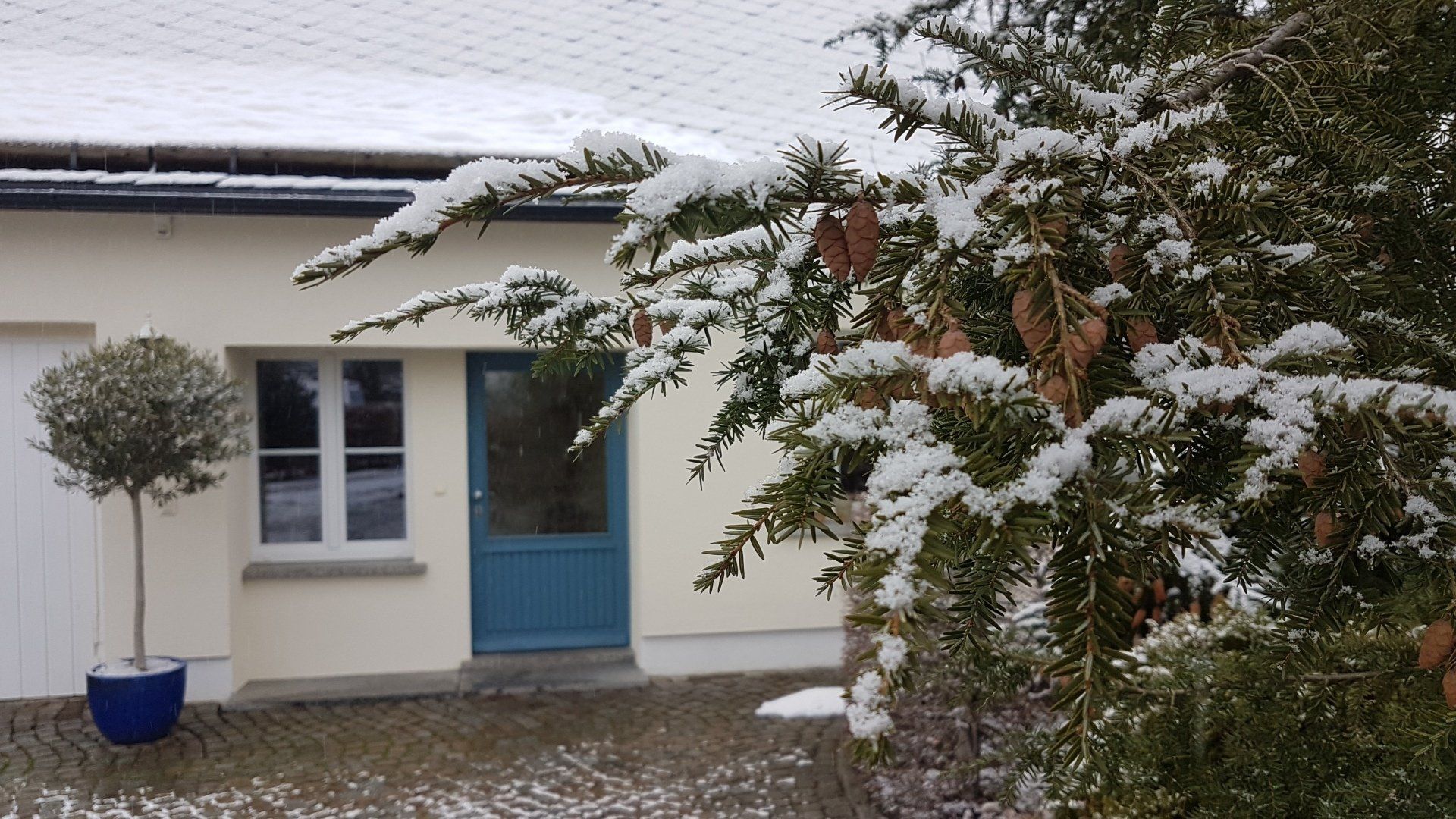 Winter Ferienhaus Sachsen
