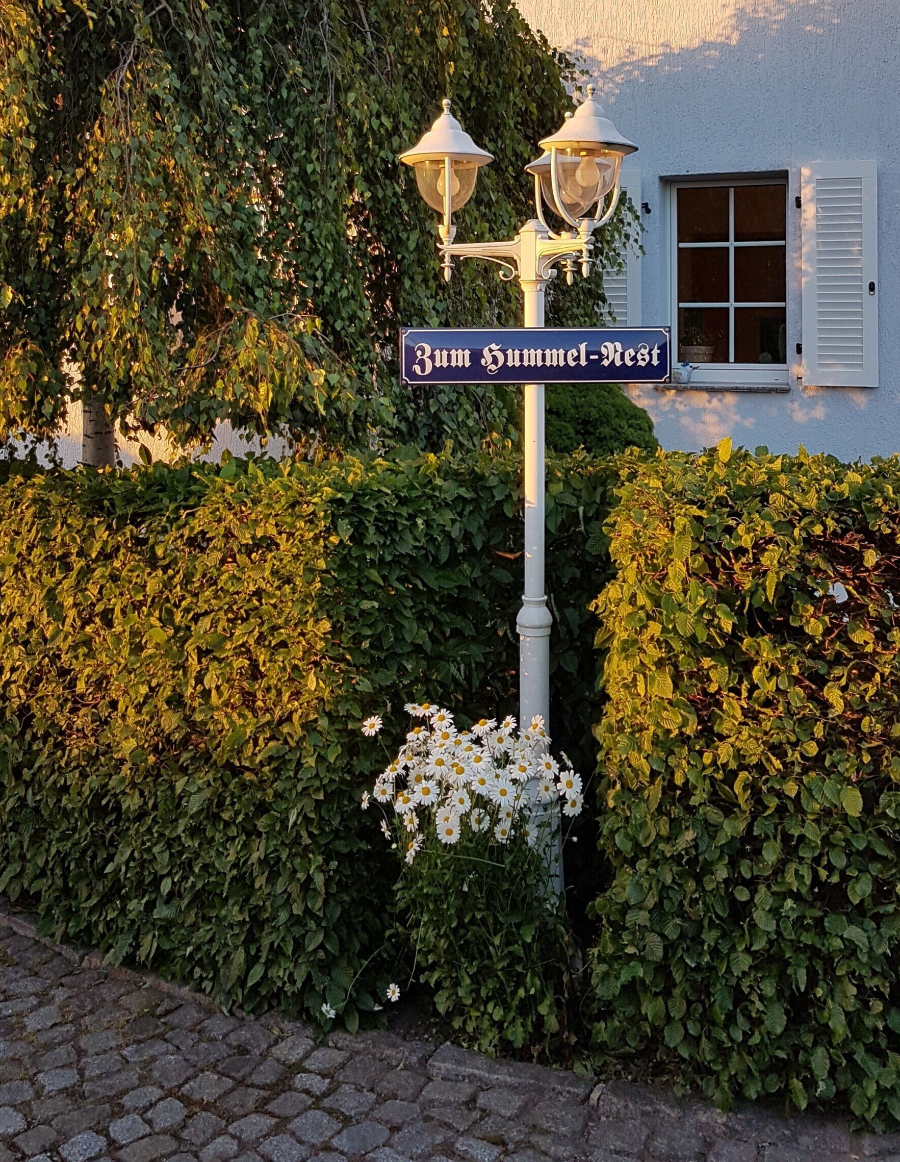 Ferienhaus Hummel-Nest Sachsen Eingangsbereich