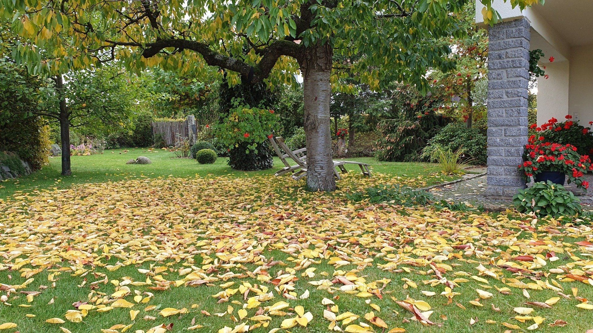 Blick von der Terrasse Ferienhaus Hummel-Nest
