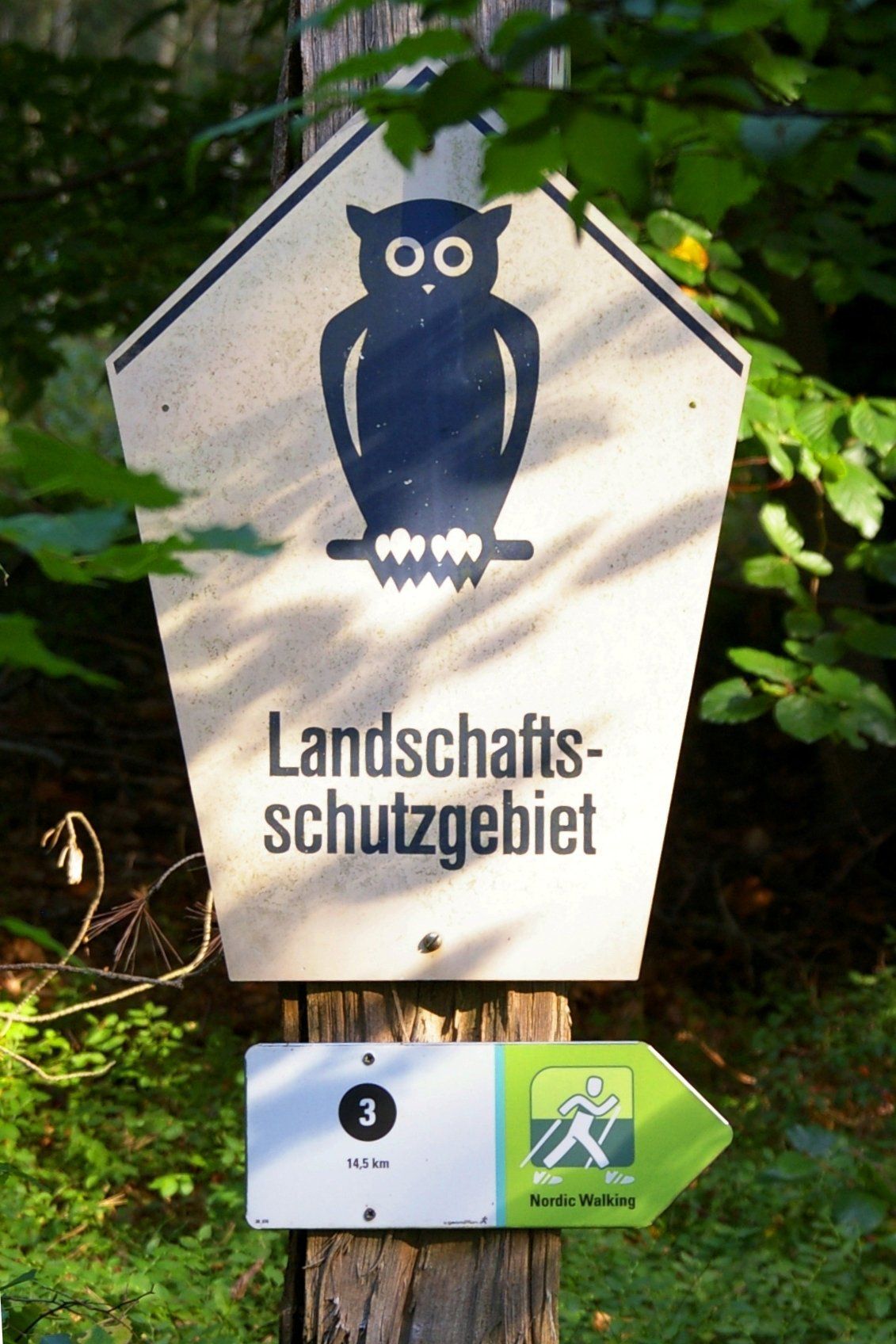 Landschaftsschutzgebiet Laußnitzer Heide