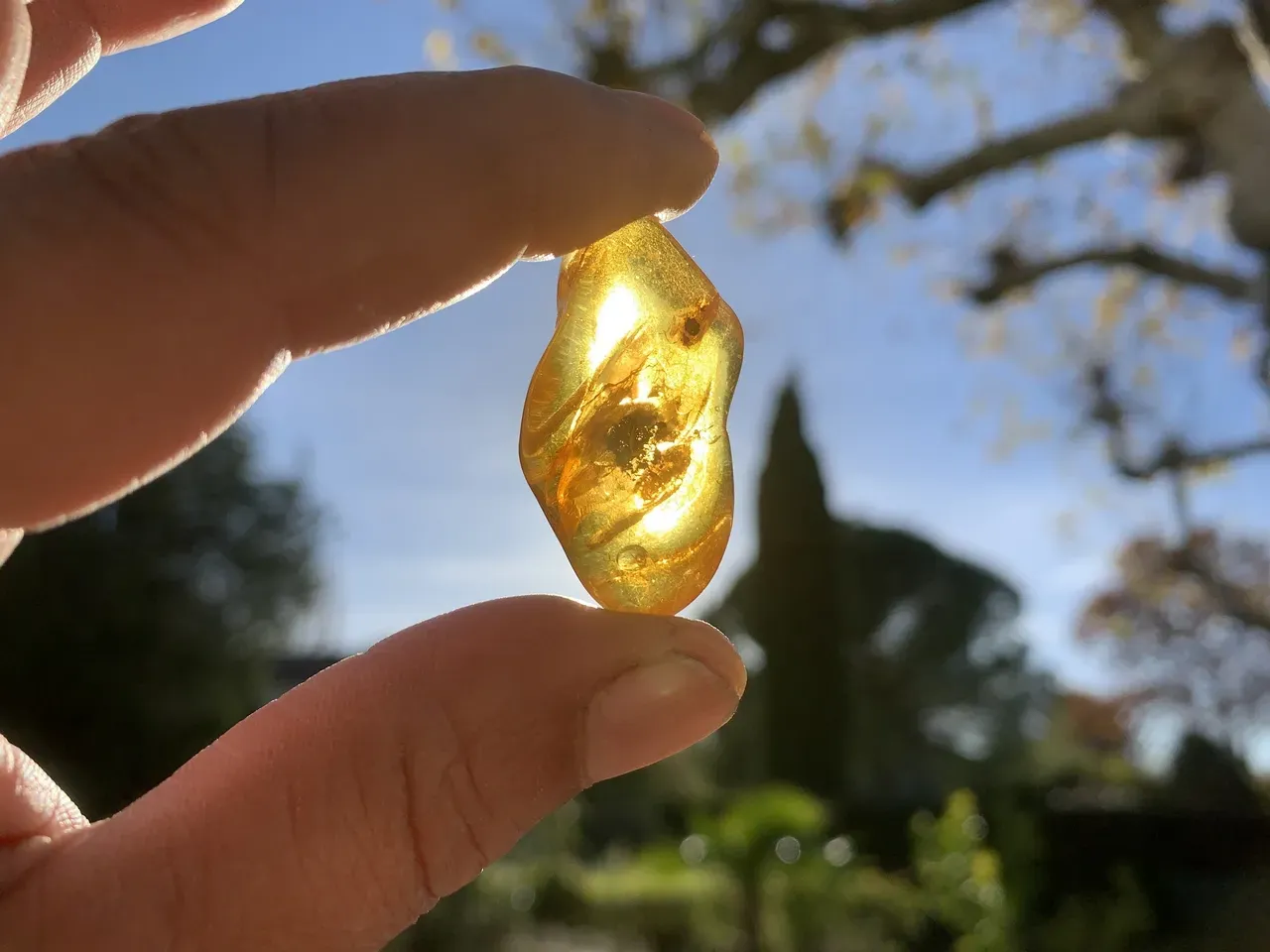 Ambre naturel mer Baltique