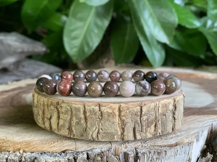 Bois fossilisé naturel – Le Temple Zen Bijoux