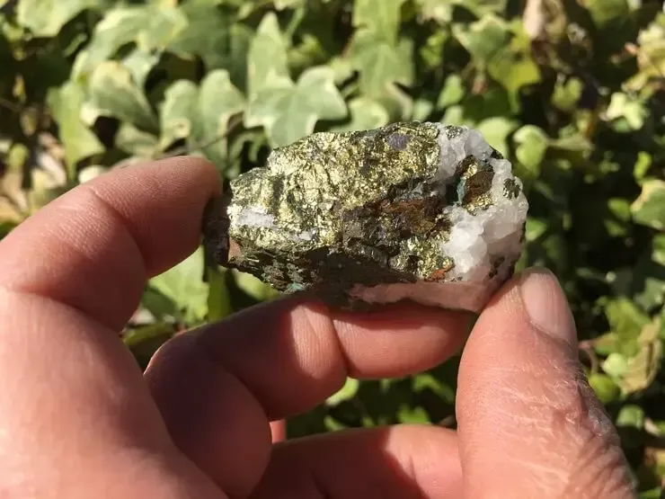 collection Pyrite naturelle