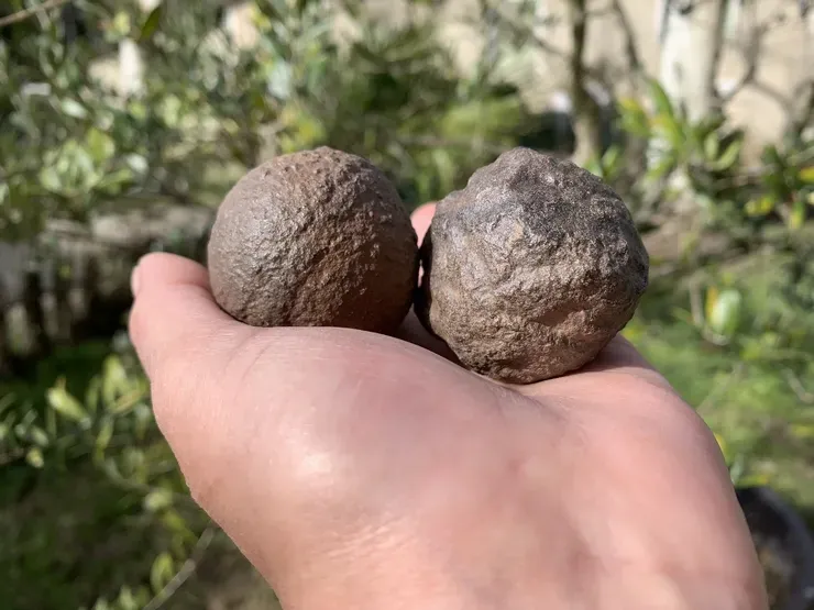 collection : Moquis marbles, Moqui ball