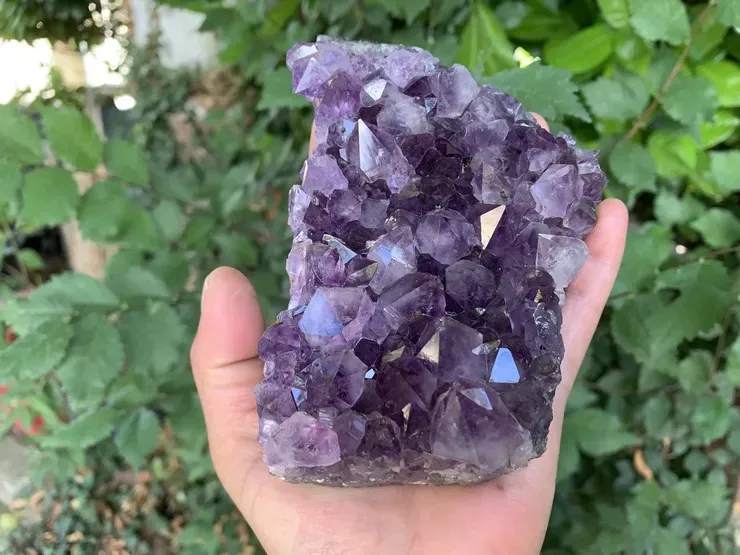 Lithothérapie : l'Améthyste Pierre des rêves prémonitoires