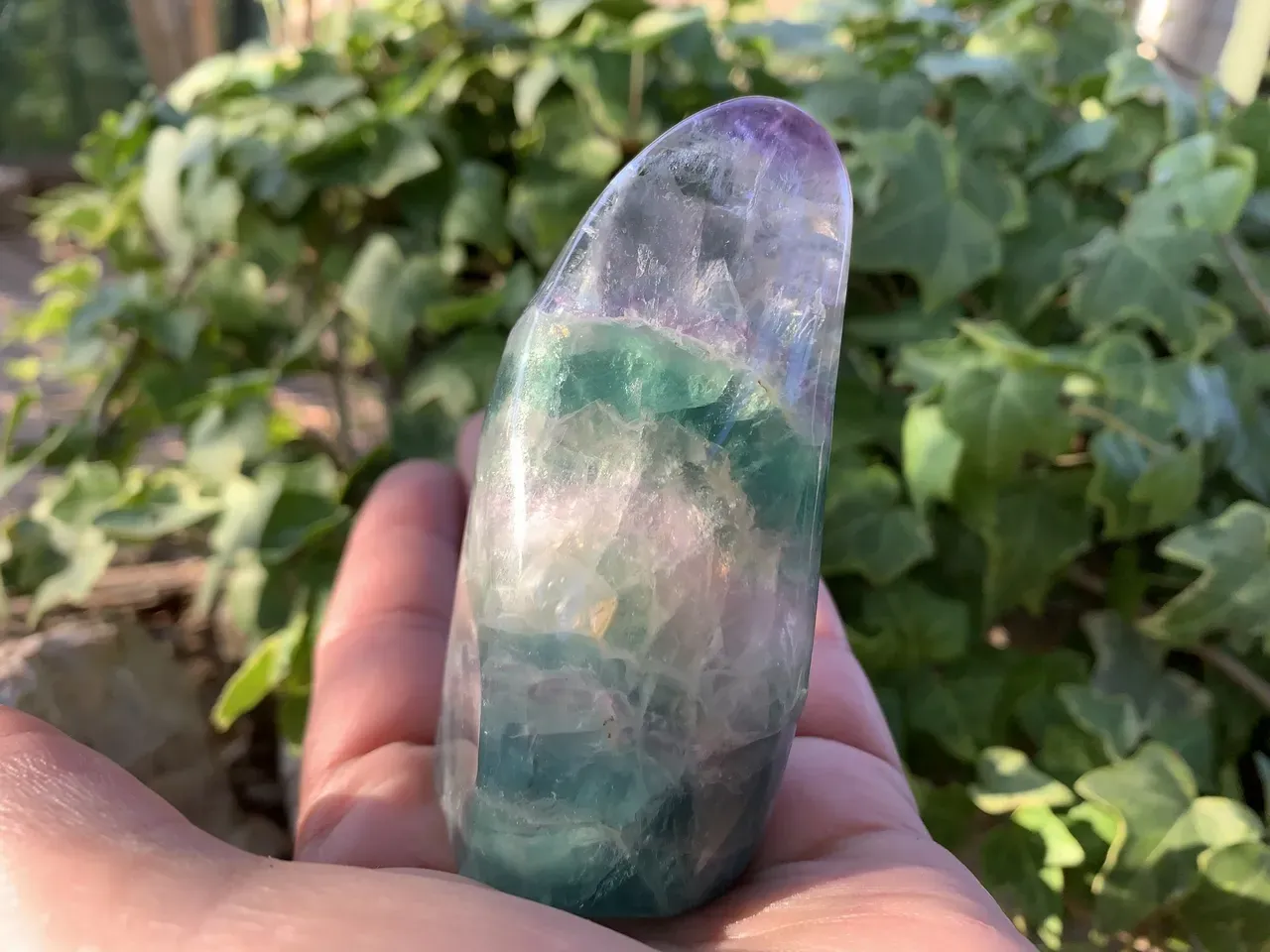 collection Fluorine multicolore