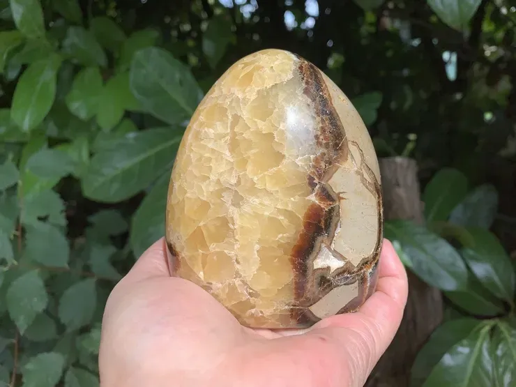 collection pierre : La Septaria