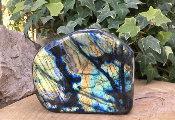 Forme libre en labradorite naturelle Labradorite naturelle pour le travail onirique