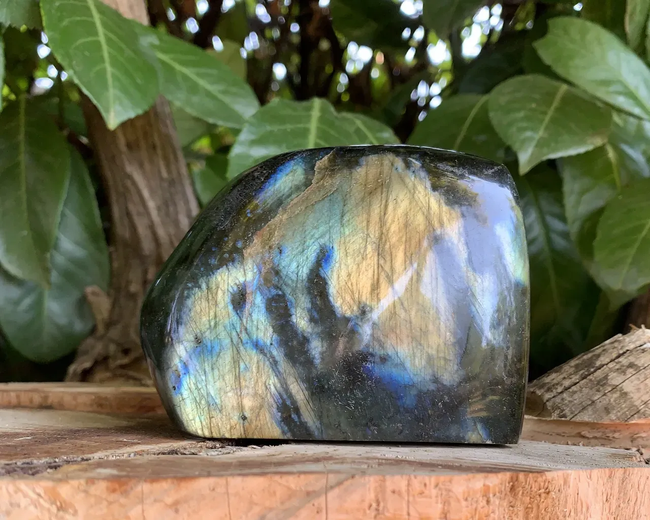 collection pierre : Labradorite
