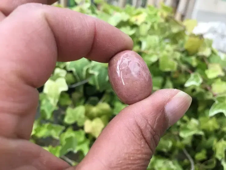 Lithothérapie : La Thulite