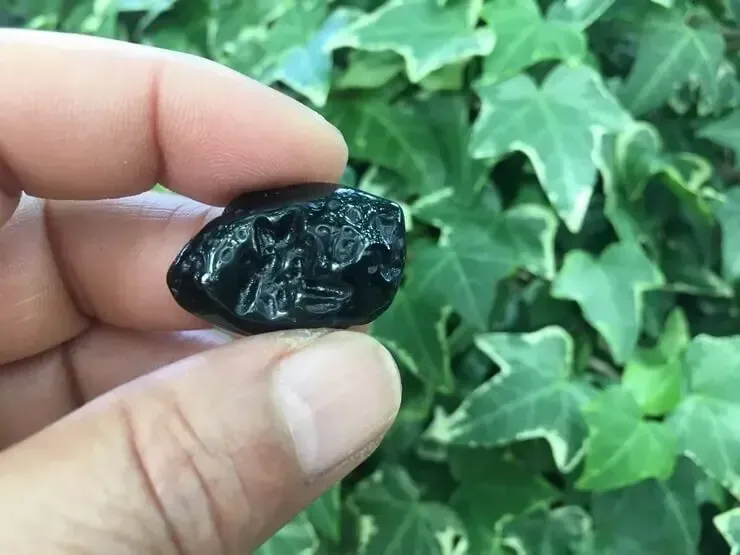 collection Tectite naturelle