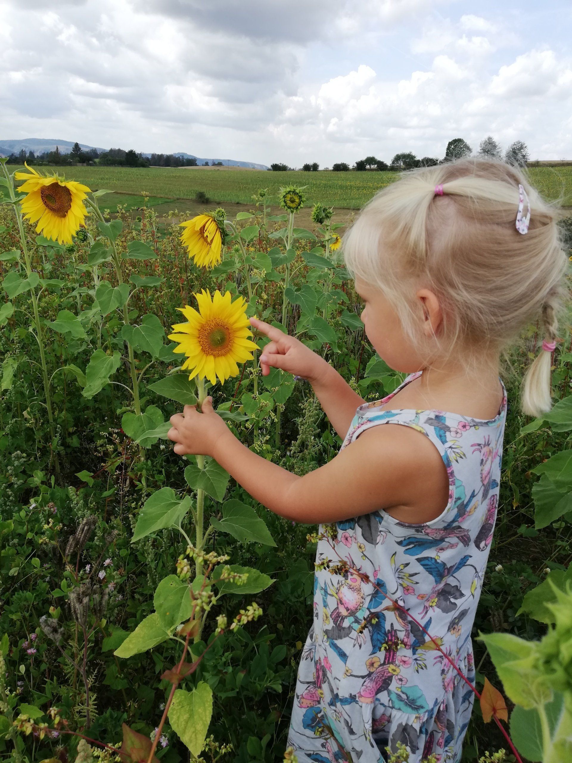 Kinderkinesiologie Hörbranz