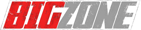Das Logo von BigZone