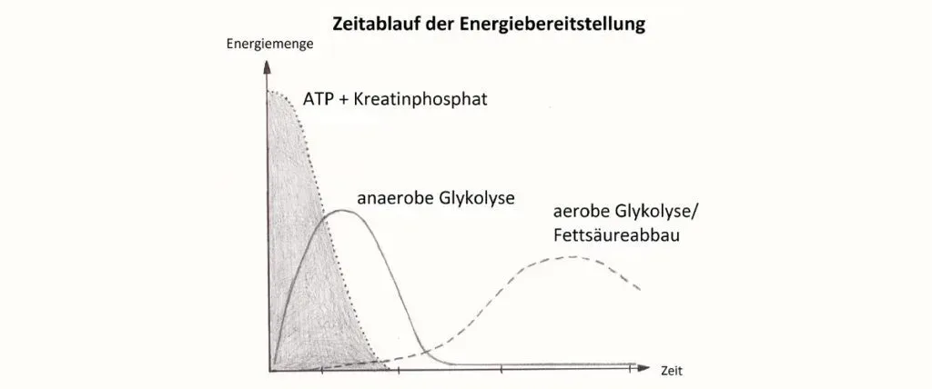 Zeitlicher Ablauf Energiebereitstellung Abbild der Energiebereitstellung