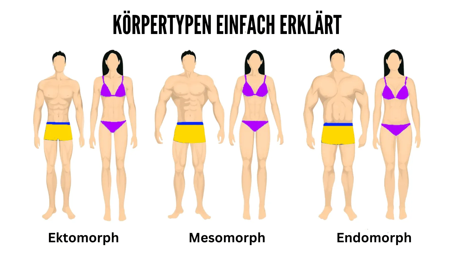 Ein Schaubild der Körpertypen Mesomoprh, Ektomorph und Endomorph bei Mann und Frau