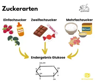 Am Ende bleibt das Ergebnis Glukose Zuckerarten, vorkommen und wie es endet