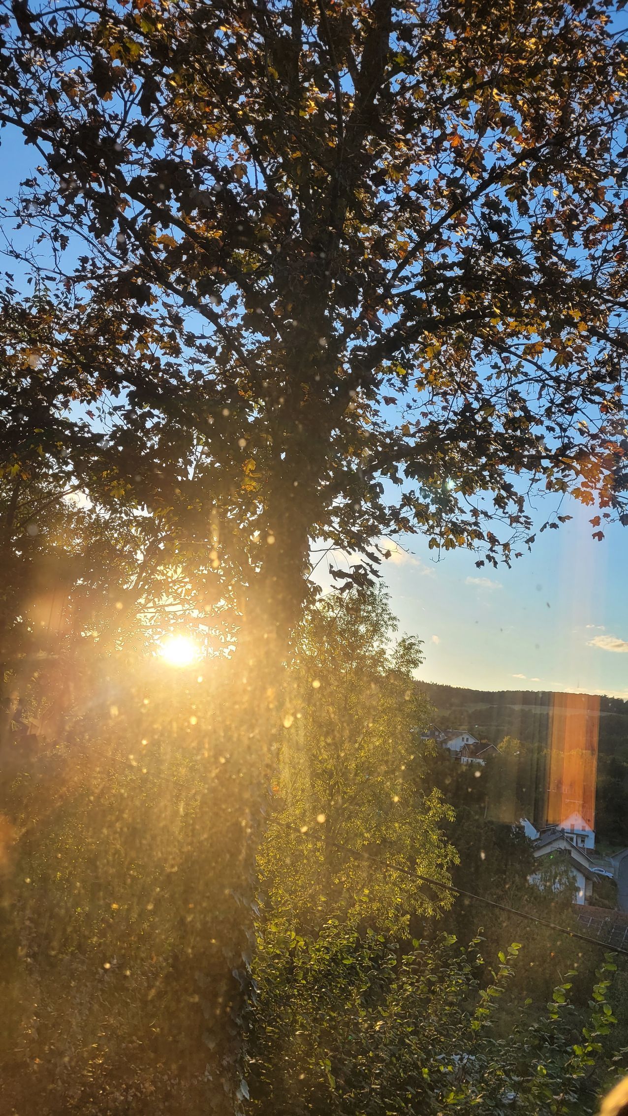 Ferienhaus Am Baumwipfel im Nationalpark Eifel in Schalkenbach, Sonnenstunden am Nachmittag