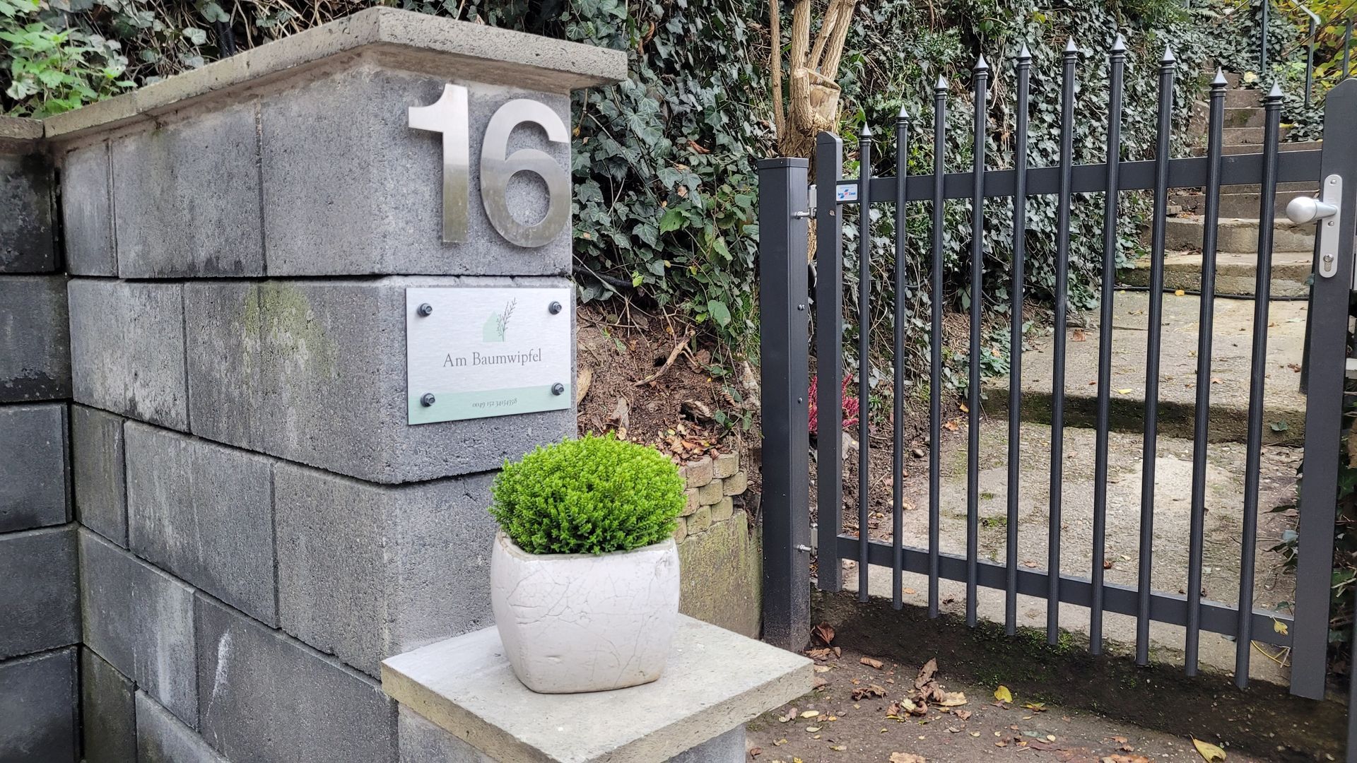 Ferienhaus Am Baumwipfel im Nationalpark Eifel in Schalkenbach, Eingang zum Grundstück