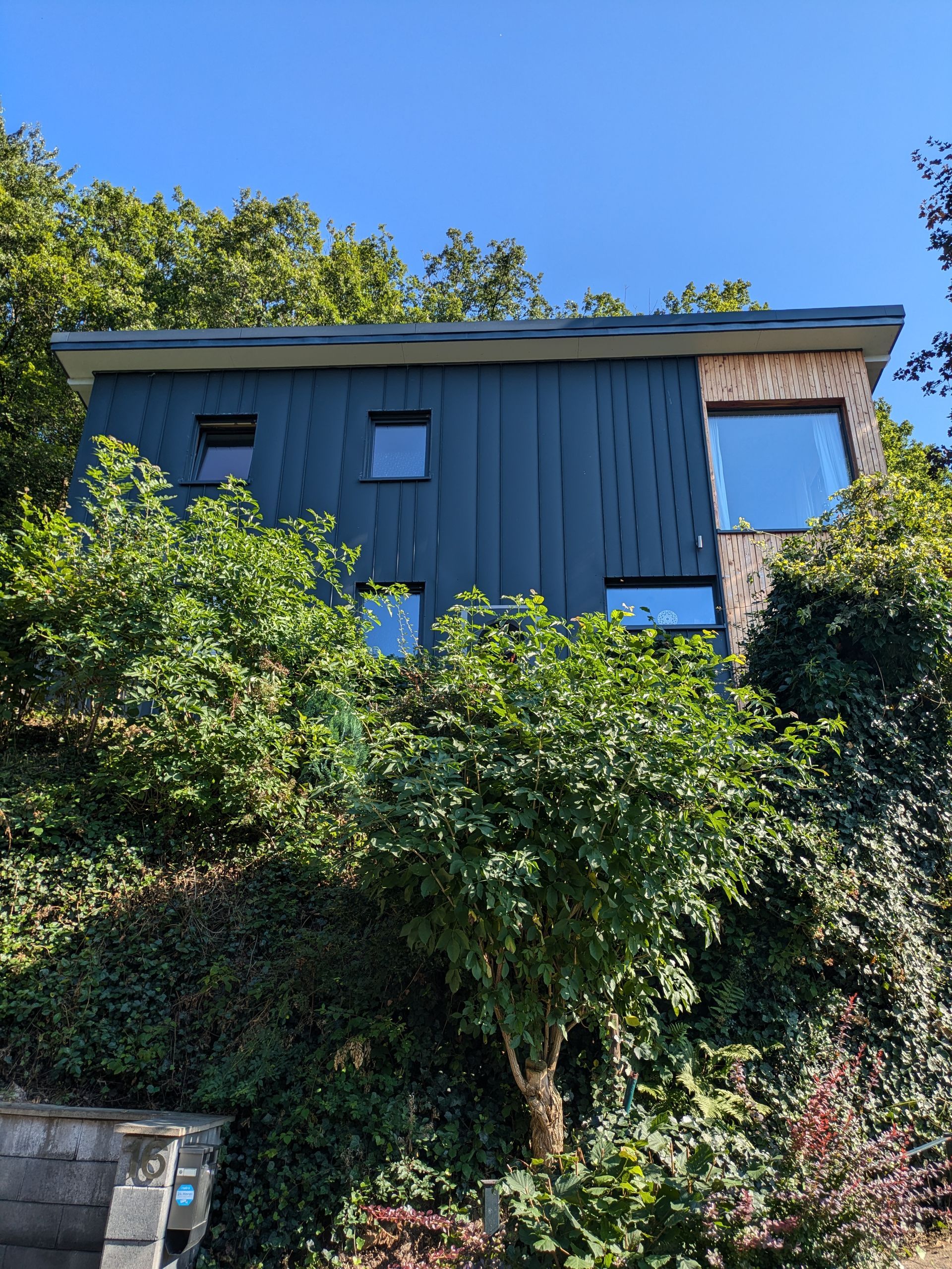 Ferienhaus Am Baumwipfel